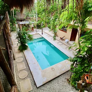 La Selva Mexiko